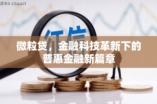 十堰微粒贷，金融科技革新下的普惠金融新篇章