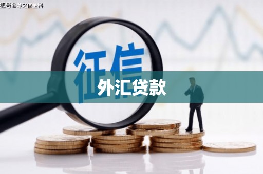 十堰外汇贷款