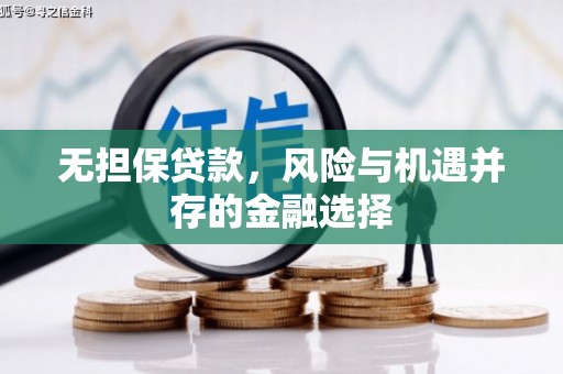 十堰无担保贷款，风险与机遇并存的金融选择