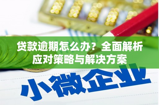 十堰贷款逾期怎么办？全面解析应对策略与解决方案