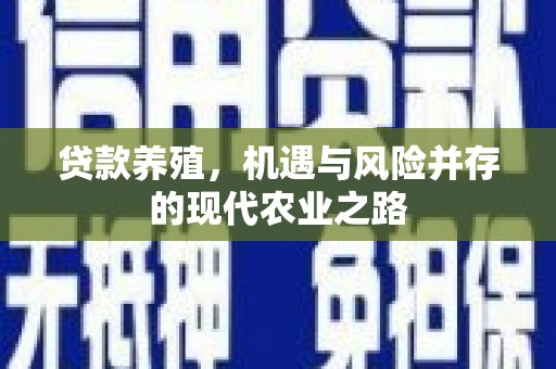 十堰贷款养殖，机遇与风险并存的现代农业之路