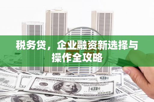 十堰税务贷，企业融资新选择与操作全攻略