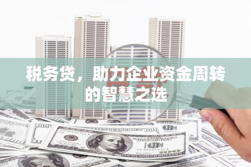 十堰税务贷，助力企业资金周转的智慧之选