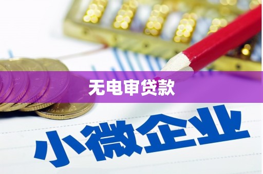 十堰无电审贷款