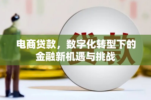 十堰电商贷款，数字化转型下的金融新机遇与挑战