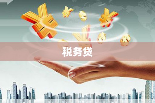 十堰税务贷