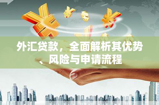 十堰外汇贷款，全面解析其优势、风险与申请流程