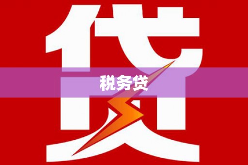 十堰税务贷