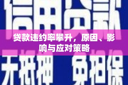 十堰贷款违约率攀升，原因、影响与应对策略
