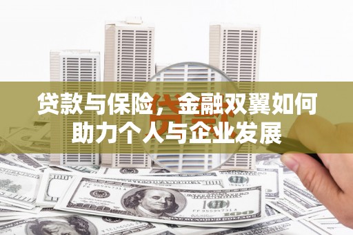 十堰贷款与保险，金融双翼如何助力个人与企业发展