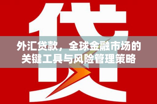 十堰外汇贷款，全球金融市场的关键工具与风险管理策略