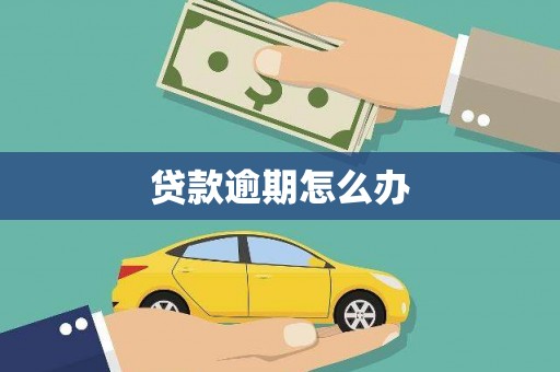 十堰贷款逾期怎么办