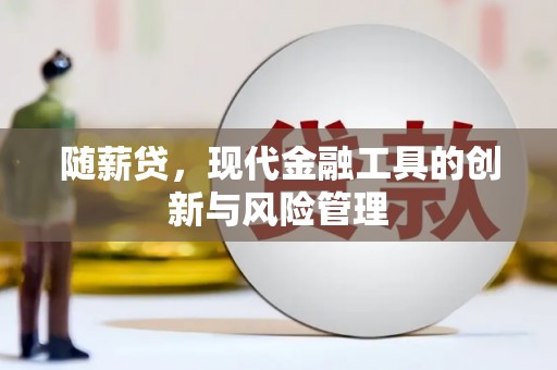 十堰随薪贷，现代金融工具的创新与风险管理