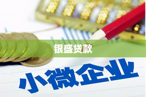 十堰银盛贷款