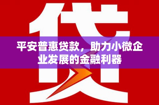 十堰平安普惠贷款，助力小微企业发展的金融利器