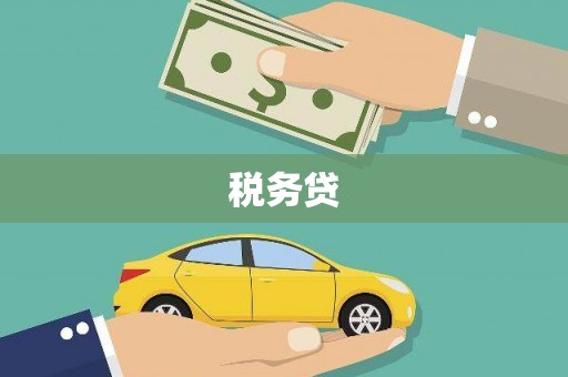 十堰税务贷
