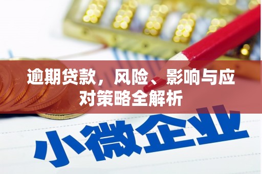 十堰逾期贷款，风险、影响与应对策略全解析