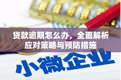 十堰贷款逾期怎么办，全面解析应对策略与预防措施