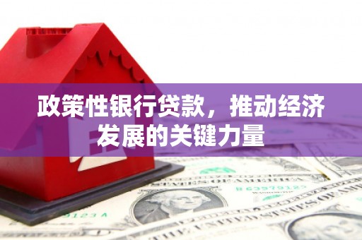 十堰政策性银行贷款，推动经济发展的关键力量