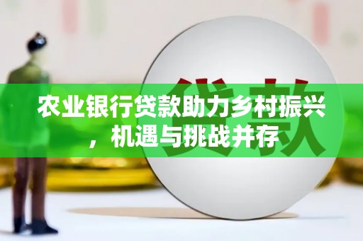 十堰农业银行贷款助力乡村振兴，机遇与挑战并存
