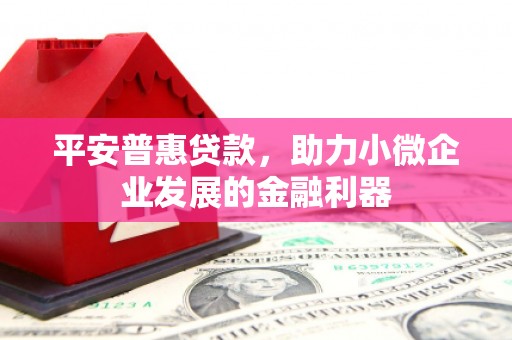 十堰平安普惠贷款，助力小微企业发展的金融利器