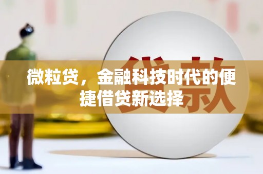 十堰微粒贷，金融科技时代的便捷借贷新选择