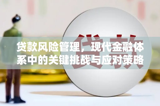 十堰贷款风险管理，现代金融体系中的关键挑战与应对策略