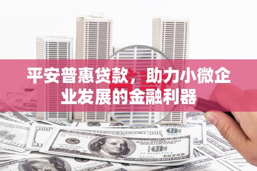 十堰平安普惠贷款，助力小微企业发展的金融利器