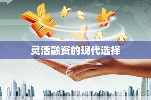 十堰灵活融资的现代选择