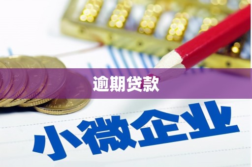 十堰逾期贷款