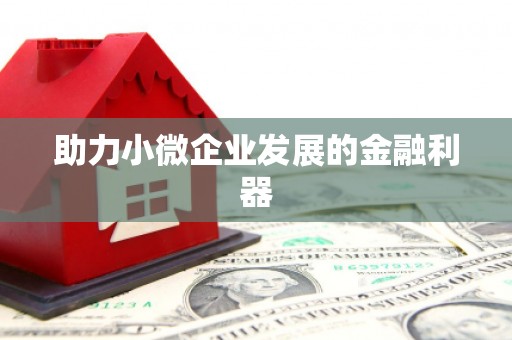 十堰助力小微企业发展的金融利器