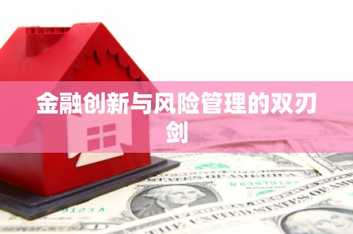 十堰金融创新与风险管理的双刃剑