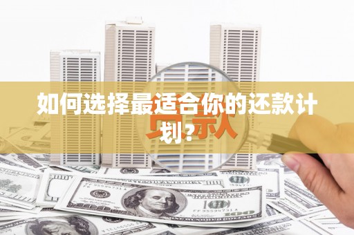十堰如何选择最适合你的还款计划？