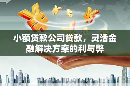 十堰小额贷款公司贷款，灵活金融解决方案的利与弊