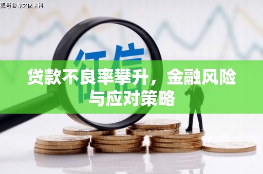 十堰贷款不良率攀升，金融风险与应对策略