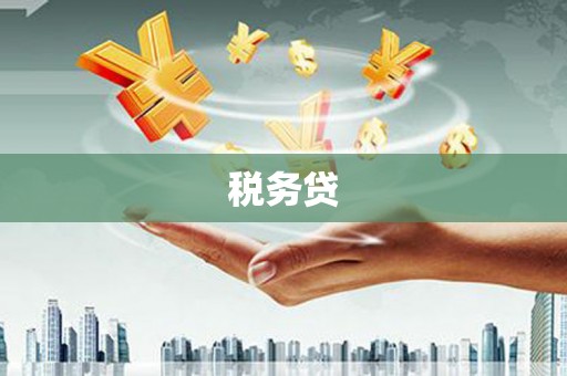 十堰税务贷